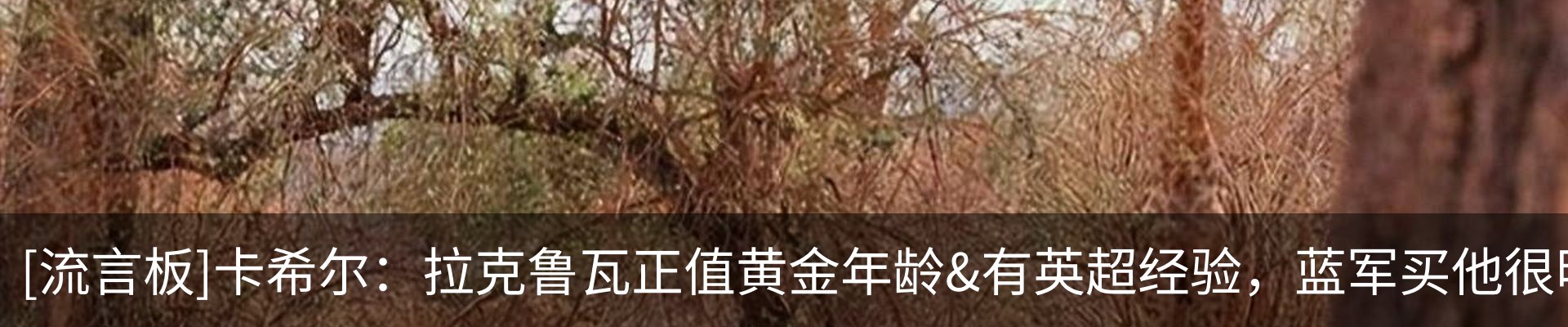 资讯动态